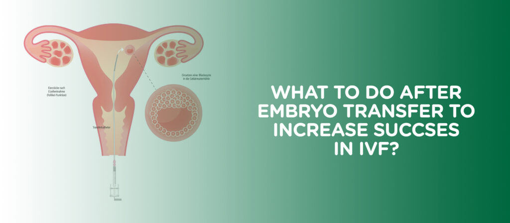 what to do after embryo transfer to increase success