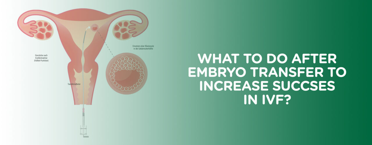 After embryo transfer to increase success in IVF