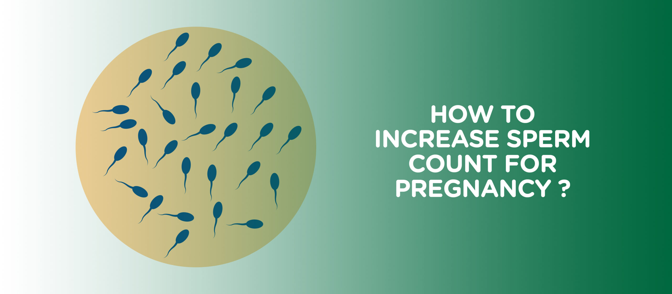 How-to-increase-sperm-count-1-scaled.jpg