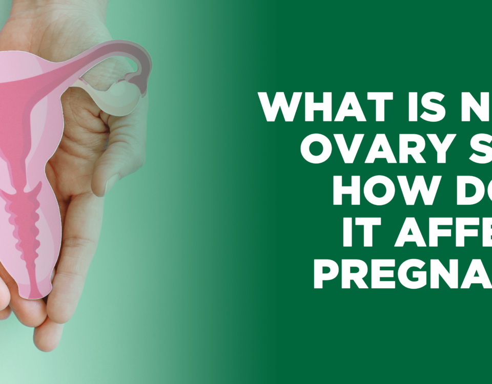 Importance of ovary size in fertility and pregnancy