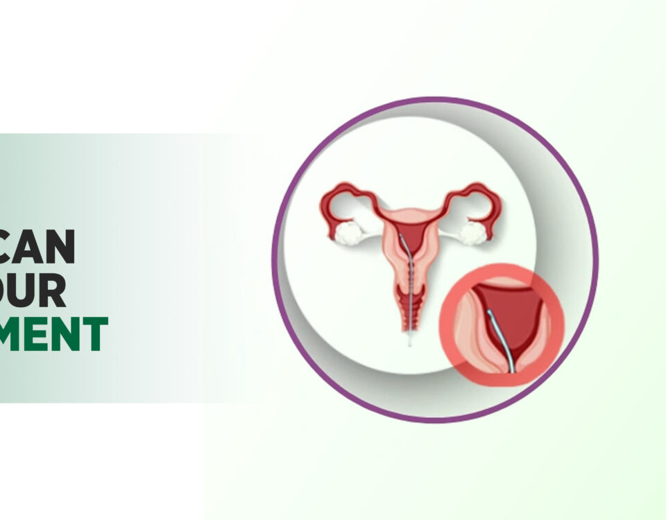 Understanding IVF treatment success